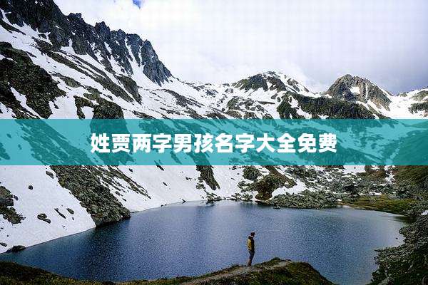 姓贾两字男孩名字大全免费