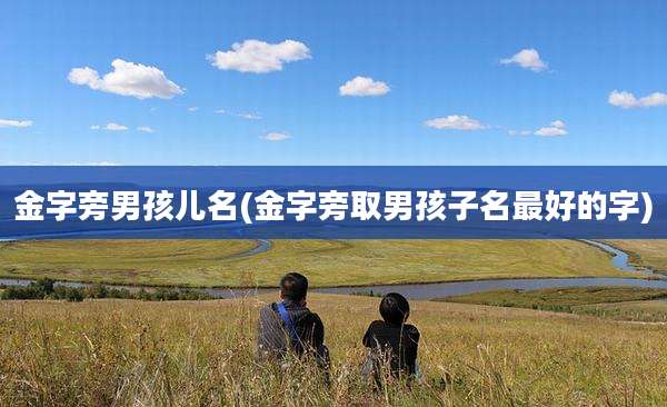 金字旁男孩儿名(金字旁取男孩子名最好的字)