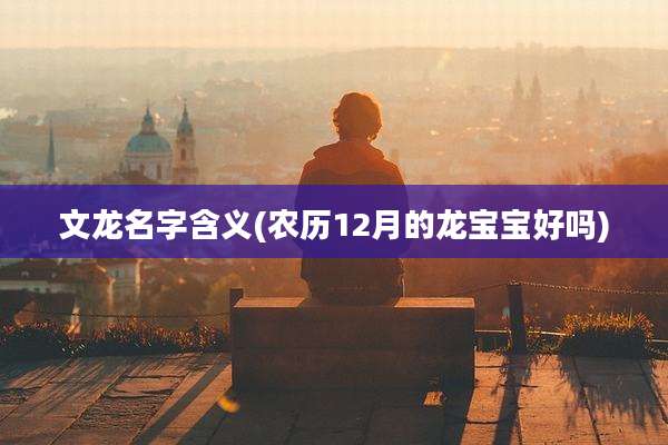 文龙名字含义(农历12月的龙宝宝好吗)