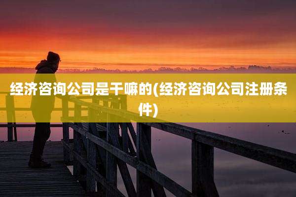 经济咨询公司是干嘛的(经济咨询公司注册条件)