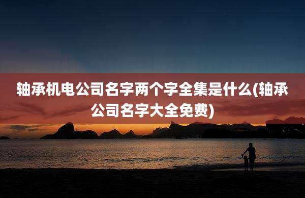 轴承机电公司名字两个字全集是什么(轴承公司名字大全免费)