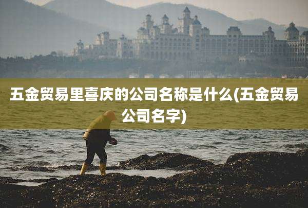 五金贸易里喜庆的公司名称是什么(五金贸易公司名字)