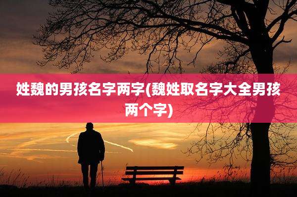 姓魏的男孩名字两字(魏姓取名字大全男孩两个字)