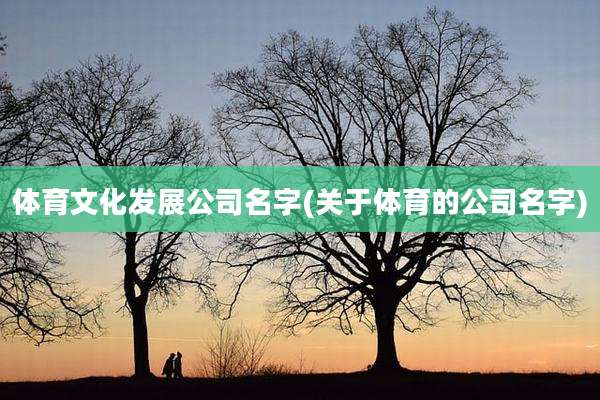 体育文化发展公司名字(关于体育的公司名字)