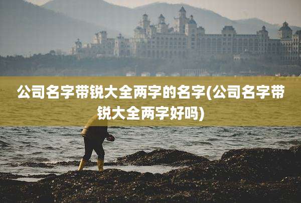 公司名字带锐大全两字的名字(公司名字带锐大全两字好吗)