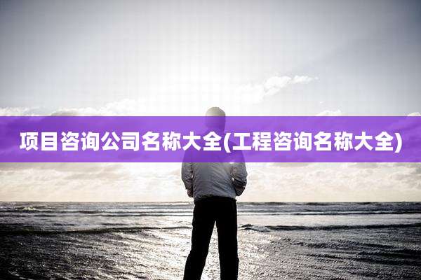 项目咨询公司名称大全(工程咨询名称大全)