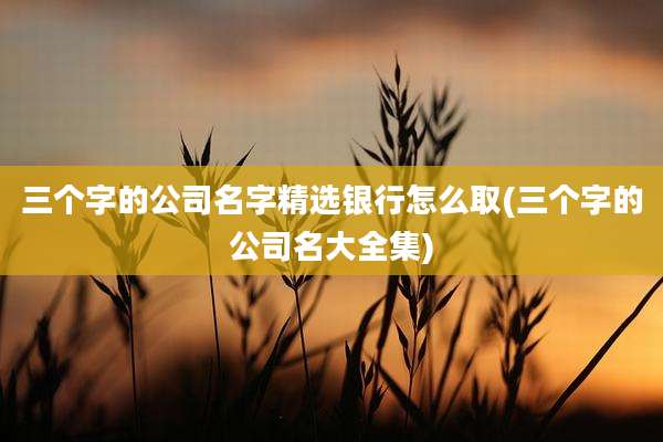 三个字的公司名字精选银行怎么取(三个字的公司名大全集)