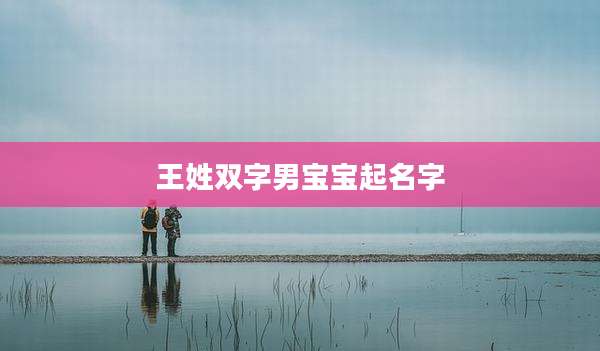 王姓双字男宝宝起名字
