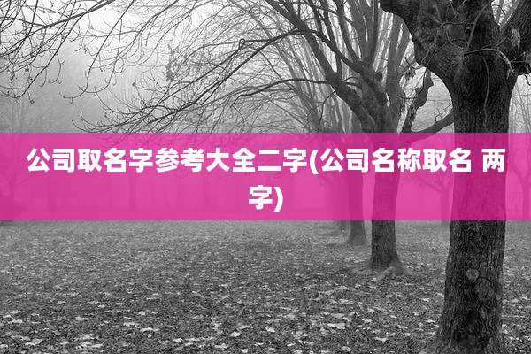 公司取名字参考大全二字(公司名称取名 两字)