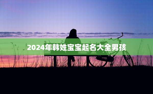 2024年韩姓宝宝起名大全男孩