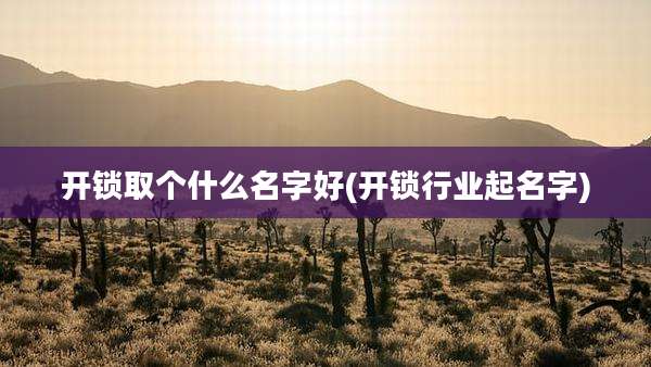 开锁取个什么名字好(开锁行业起名字)