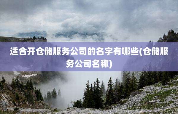 适合开仓储服务公司的名字有哪些(仓储服务公司名称)
