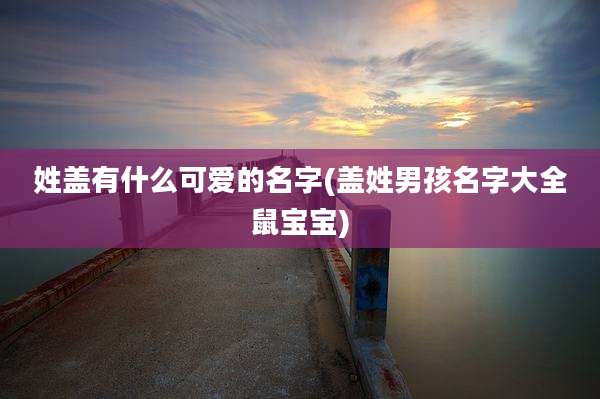 姓盖有什么可爱的名字(盖姓男孩名字大全鼠宝宝)