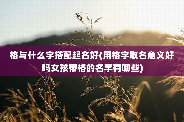 格与什么字搭配起名好(用格字取名意义好吗女孩带格的名字有哪些)