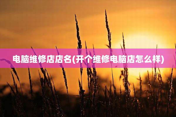 电脑维修店店名(开个维修电脑店怎么样)