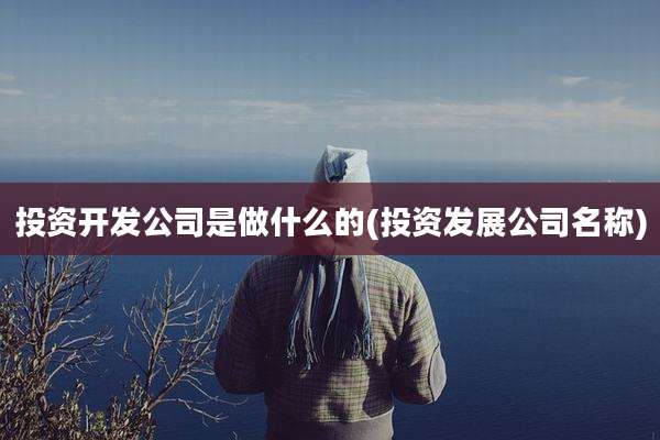 投资开发公司是做什么的(投资发展公司名称)