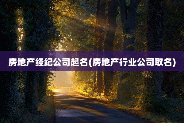 房地产经纪公司起名(房地产行业公司取名)