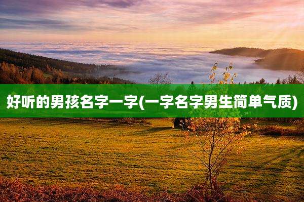 好听的男孩名字一字(一字名字男生简单气质)