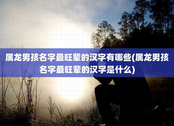 属龙男孩名字最旺辈的汉字有哪些(属龙男孩名字最旺辈的汉字是什么)