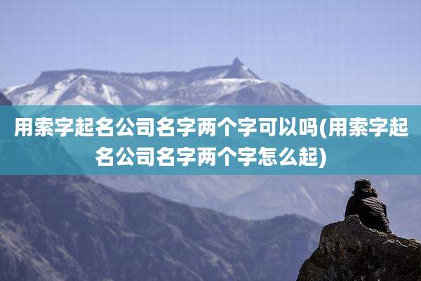 用索字起名公司名字两个字可以吗(用索字起名公司名字两个字怎么起)