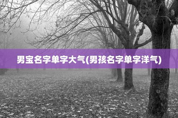 男宝名字单字大气(男孩名字单字洋气)