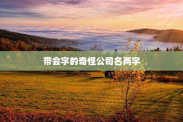 带会字的奇怪公司名两字