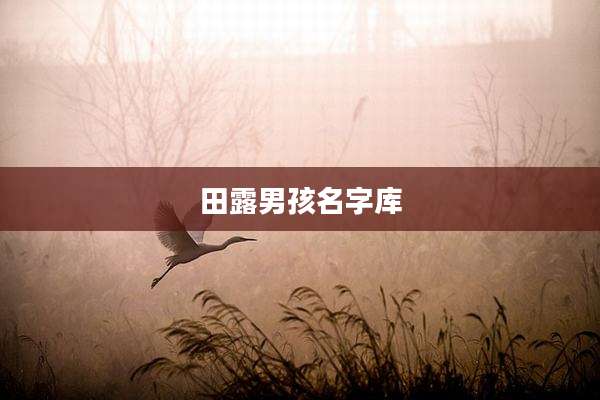 田露男孩名字库