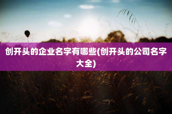 创开头的企业名字有哪些(创开头的公司名字大全)
