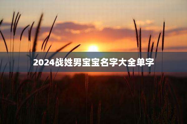 2024战姓男宝宝名字大全单字