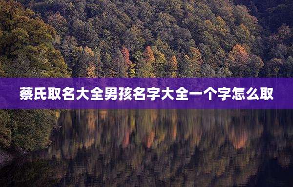 蔡氏取名大全男孩名字大全一个字怎么取