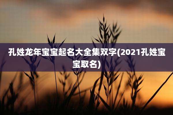 孔姓龙年宝宝起名大全集双字(2021孔姓宝宝取名)
