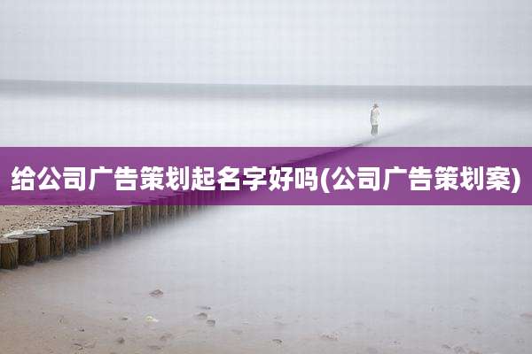 给公司广告策划起名字好吗(公司广告策划案)