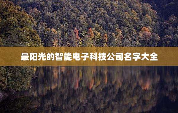 最阳光的智能电子科技公司名字大全