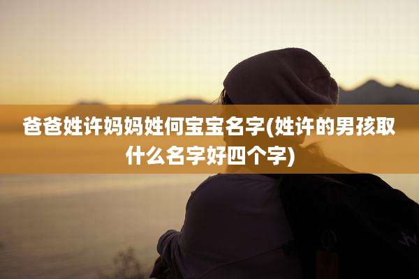 爸爸姓许妈妈姓何宝宝名字(姓许的男孩取什么名字好四个字)