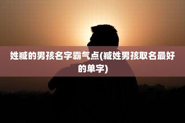 姓臧的男孩名字霸气点(臧姓男孩取名最好的单字)