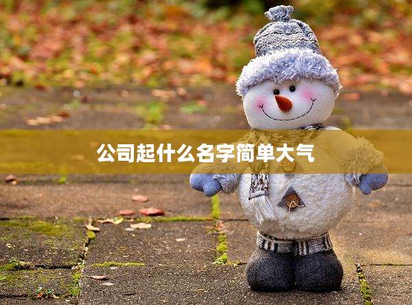 公司起什么名字简单大气