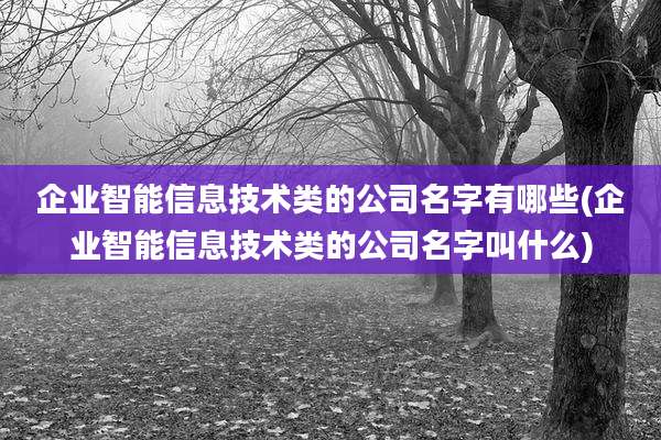 企业智能信息技术类的公司名字有哪些(企业智能信息技术类的公司名字叫什么)