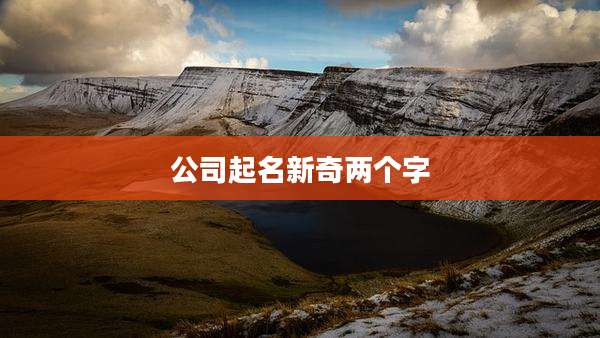 公司起名新奇两个字