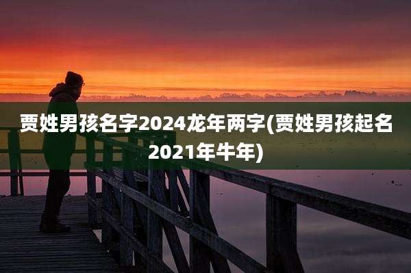 贾姓男孩名字2024龙年两字(贾姓男孩起名2021年牛年)