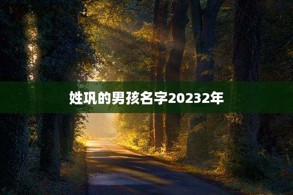 姓巩的男孩名字20232年