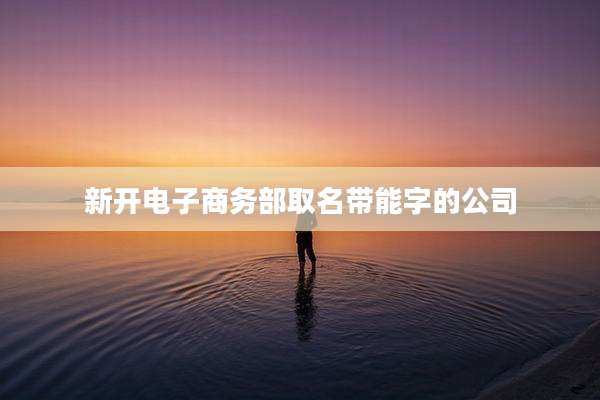 新开电子商务部取名带能字的公司