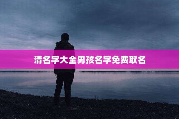 清名字大全男孩名字免费取名