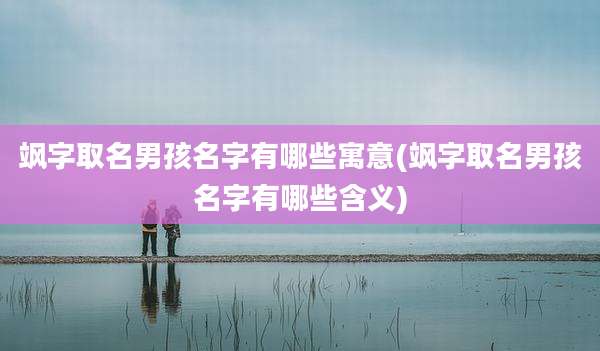 飒字取名男孩名字有哪些寓意(飒字取名男孩名字有哪些含义)