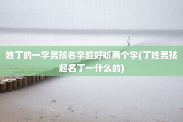 姓丁的一字男孩名字超好听两个字(丁姓男孩起名丁一什么的)