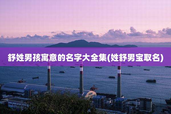舒姓男孩寓意的名字大全集(姓舒男宝取名)