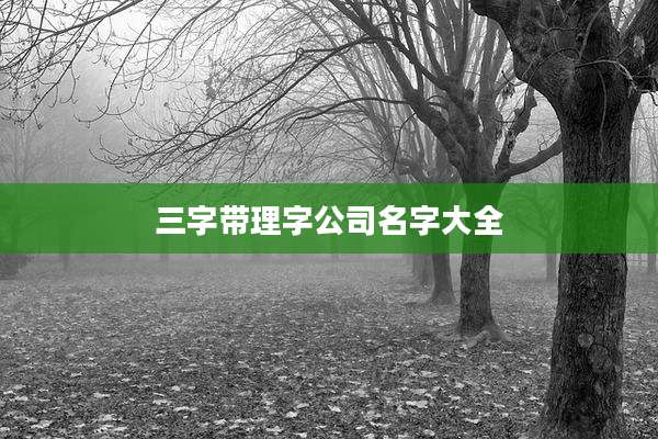 三字带理字公司名字大全