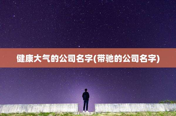 健康大气的公司名字(带驰的公司名字)