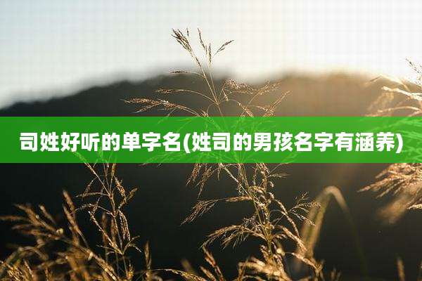司姓好听的单字名(姓司的男孩名字有涵养)
