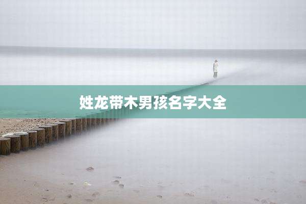 姓龙带木男孩名字大全