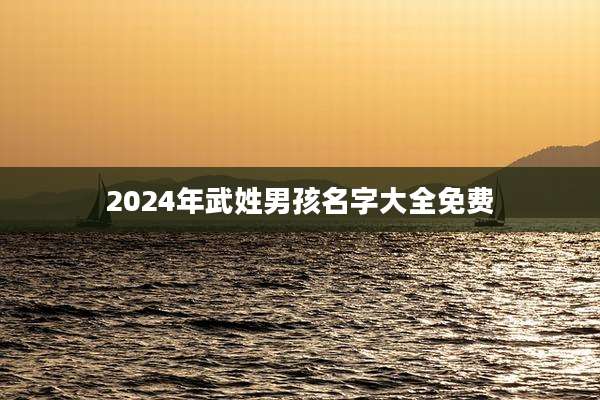 2024年武姓男孩名字大全免费